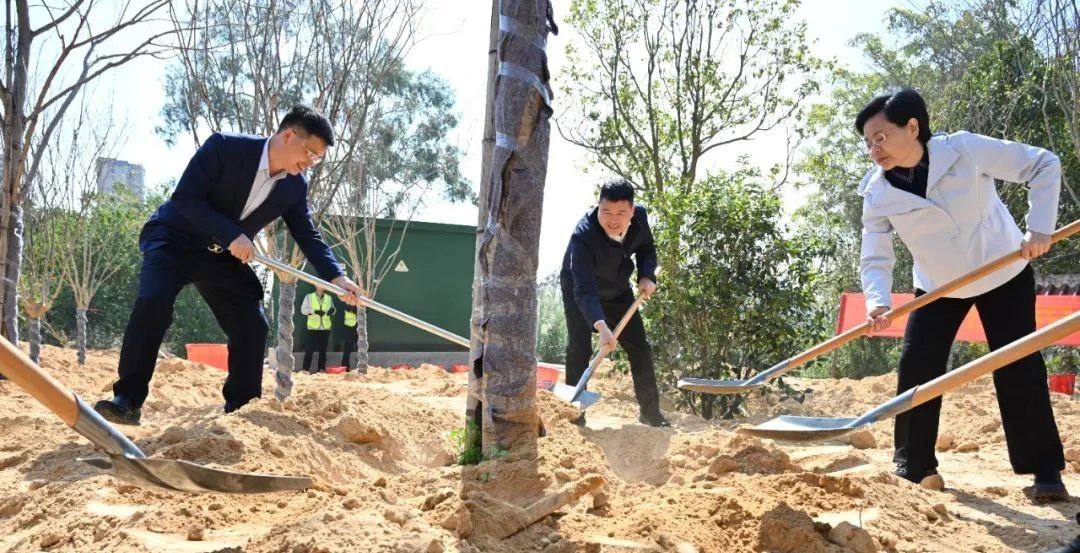  区领导参加义务植树活动