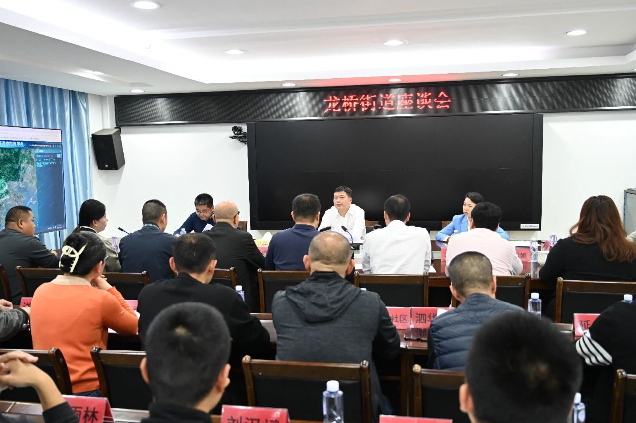  区委书记带队赴龙桥街道开展蹲点调研